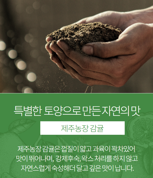 https://cdn.payup.co.kr/cp/upload/image/item/20210520/66f5bfef3e9d467c8a70466dacb561dd.png