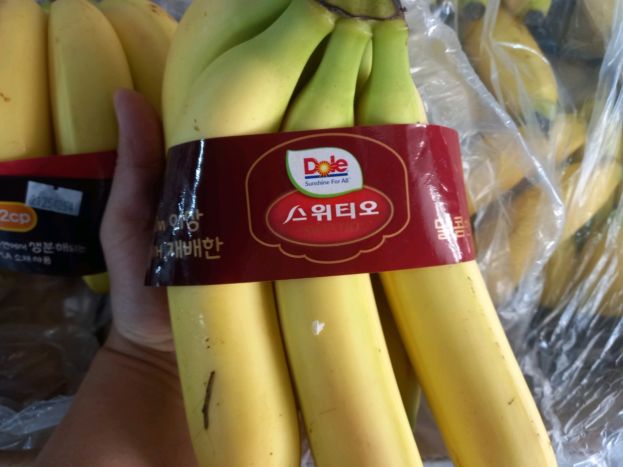 바나나(시외불가)