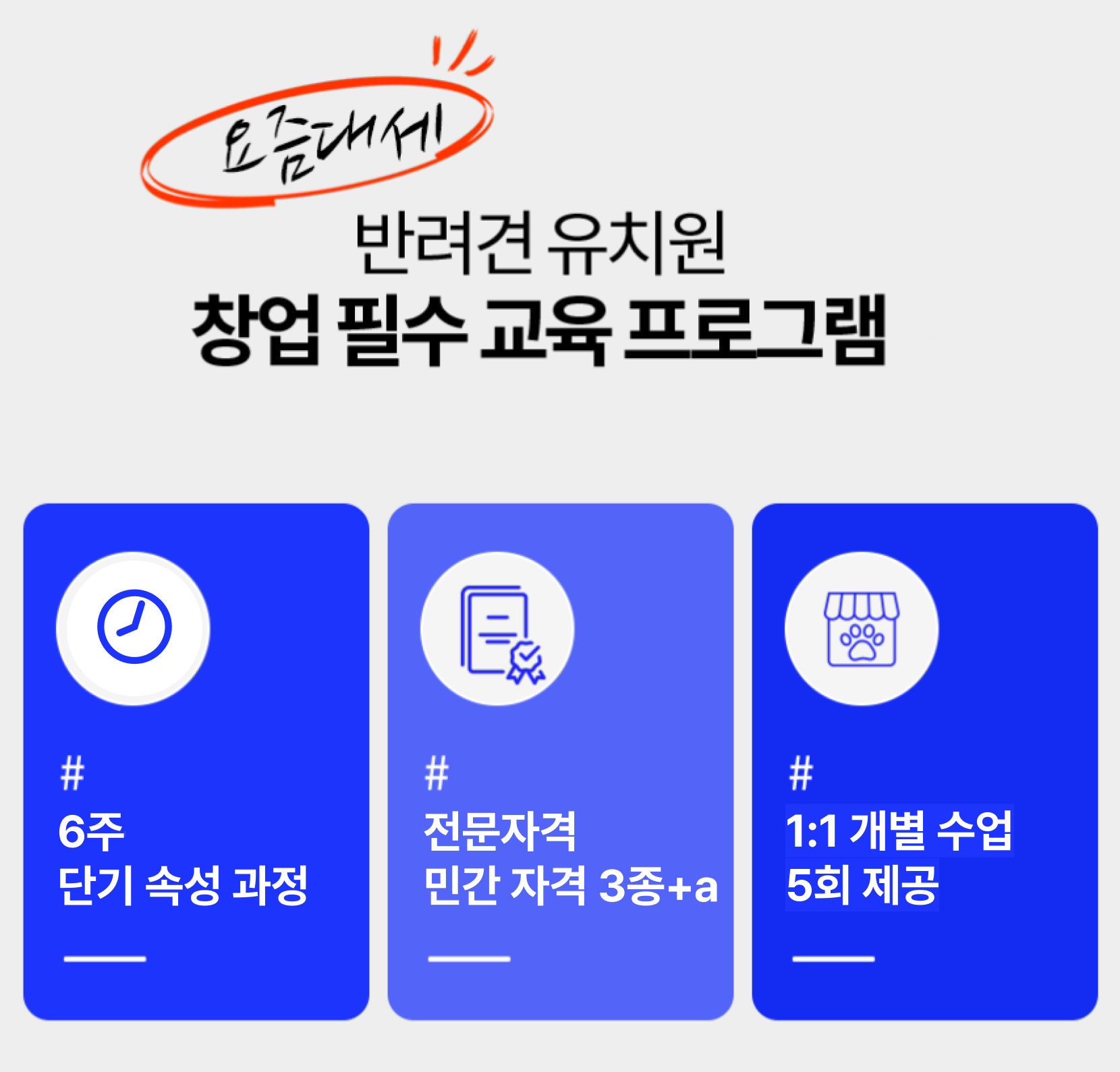 (우쭈쭈) 반려견 유치원 창업 전문가 과정